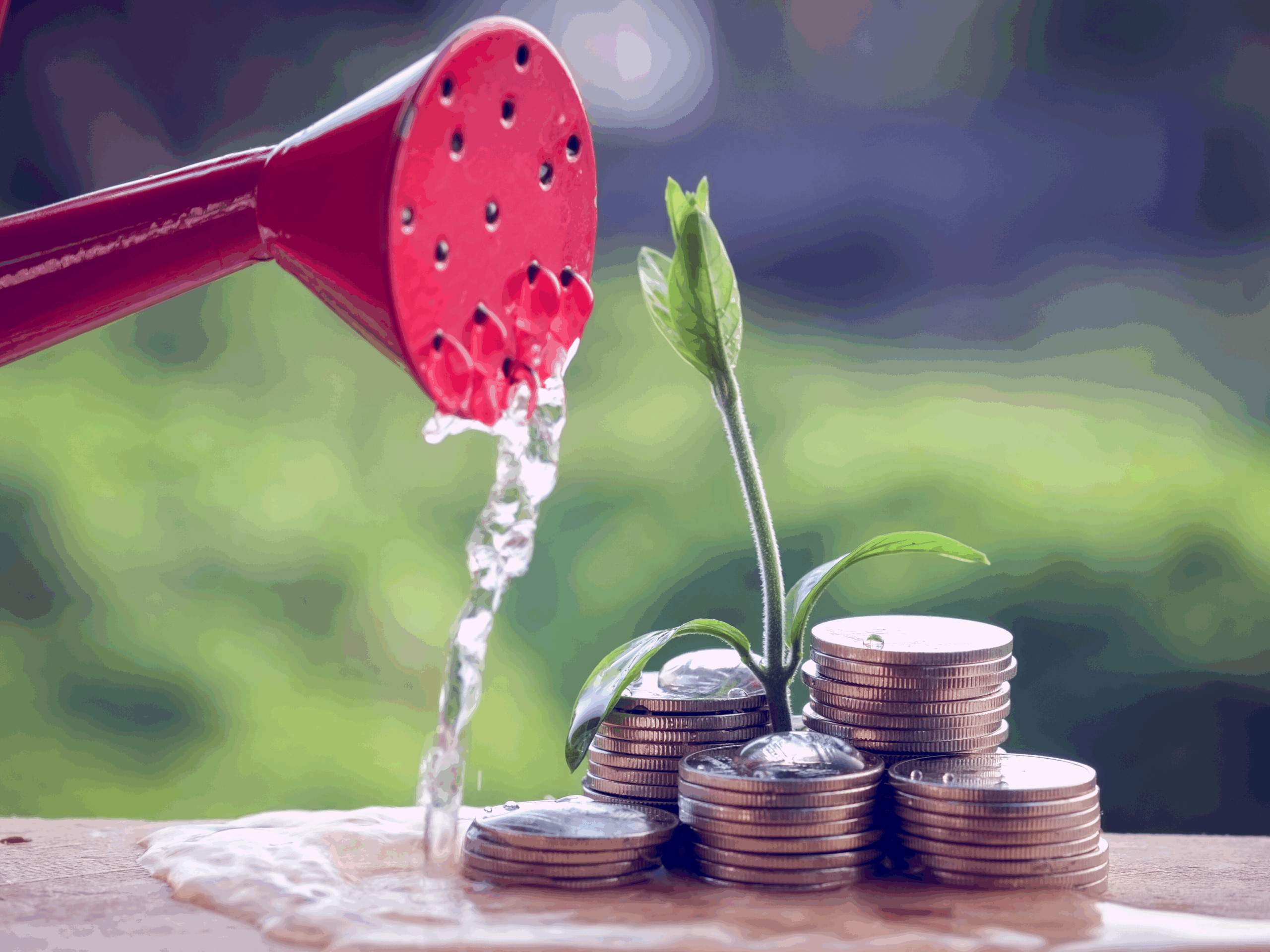 revenu complémentaire en ligne