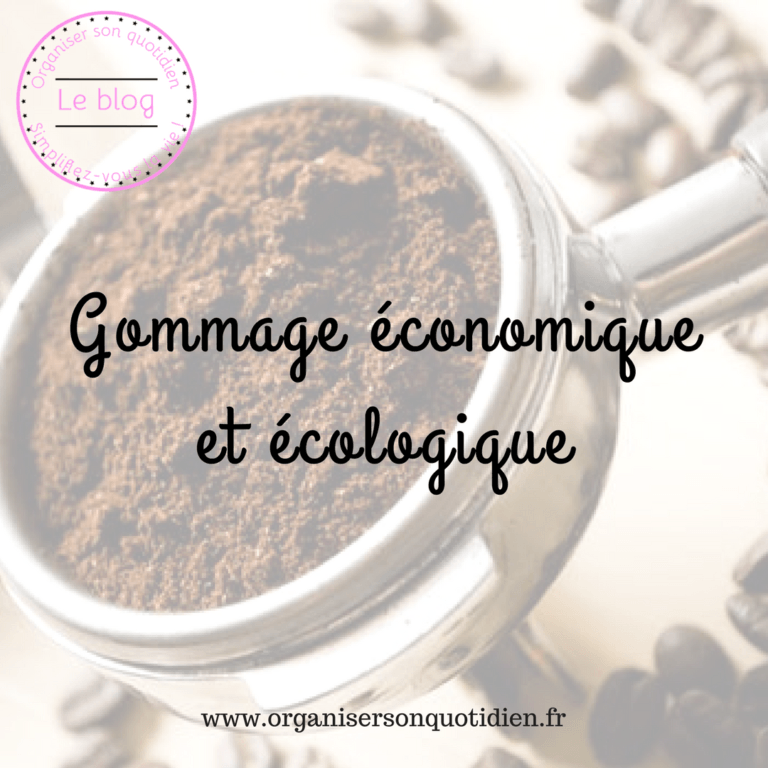 Lire la suite à propos de l’article Gommage économique et écologique