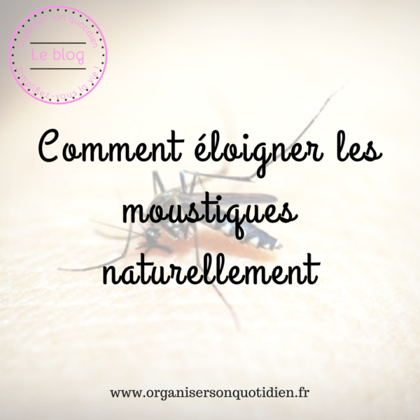 Comment éloigner les moustiques Organiser son quotidien