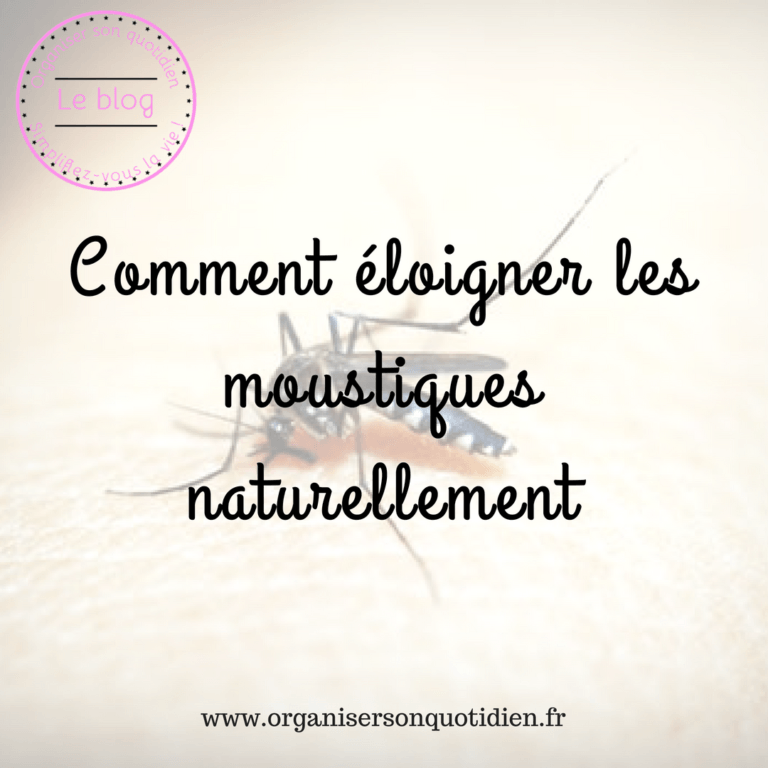 Comment éloigner les moustiques Organiser son quotidien