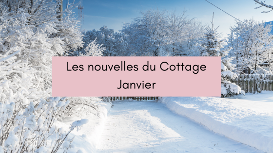 Lire la suite à propos de l’article Les nouvelles du Cottage – Janvier 2026
