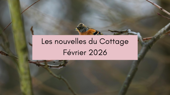 Les nouvelles du Cottage février 2026