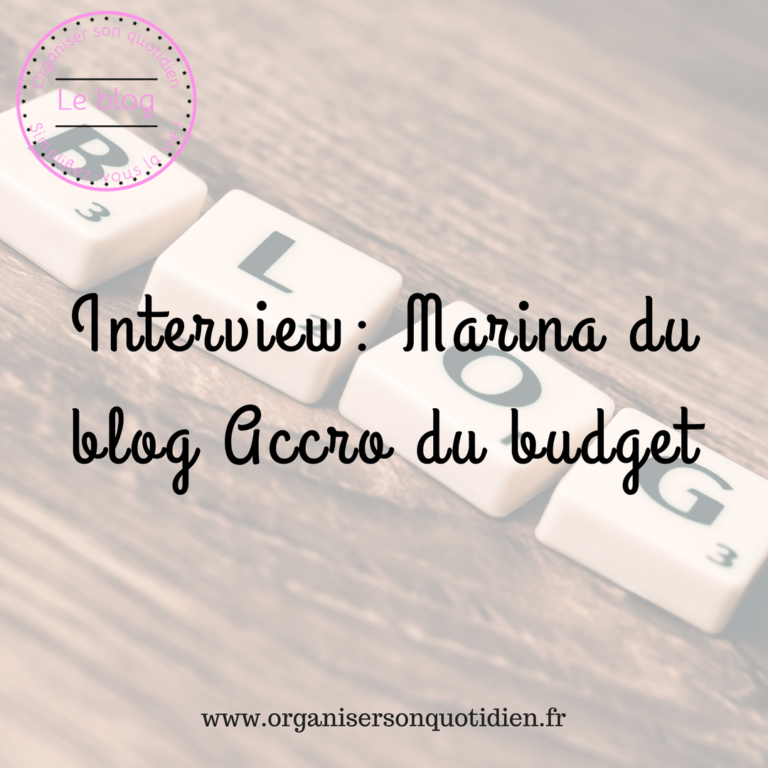 Lire la suite à propos de l’article Interview : blog accro du budget