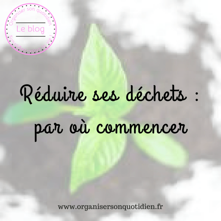 Lire la suite à propos de l’article Réduire ses déchets : par où commencer ?