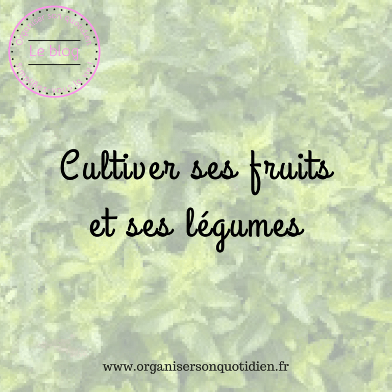 Lire la suite à propos de l’article Cultiver ses fruits et légumes pour économiser