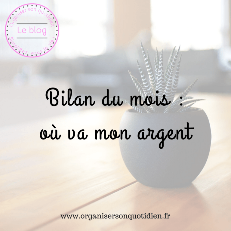 Lire la suite à propos de l’article Bilan du mois, où va mon argent ?