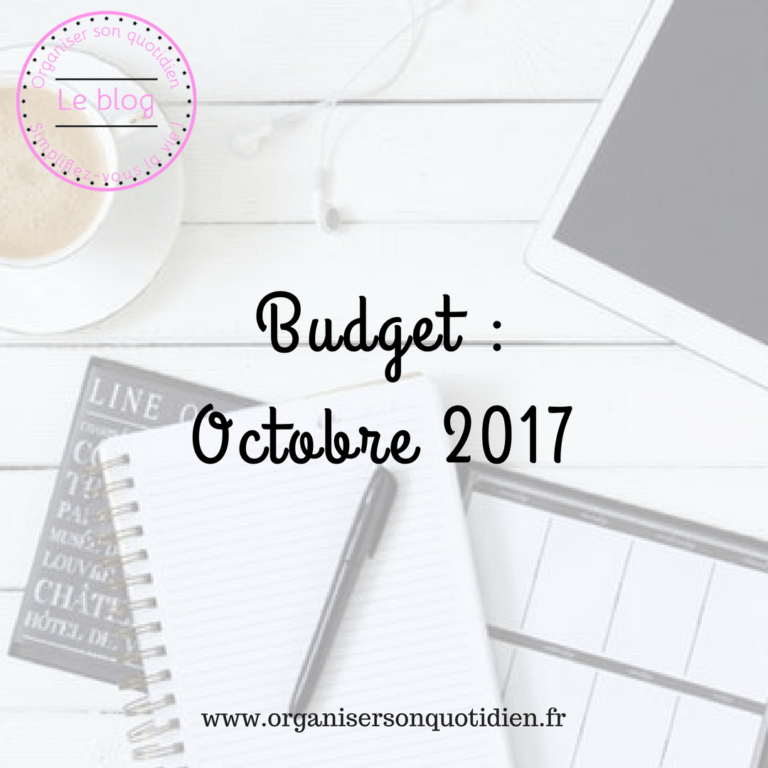 Lire la suite à propos de l’article Bilan du budget d’octobre 2017