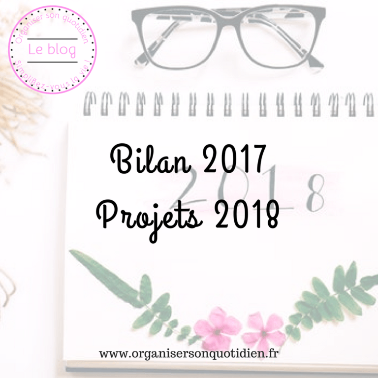 Lire la suite à propos de l’article Bilan 2017 et projets pour 2018