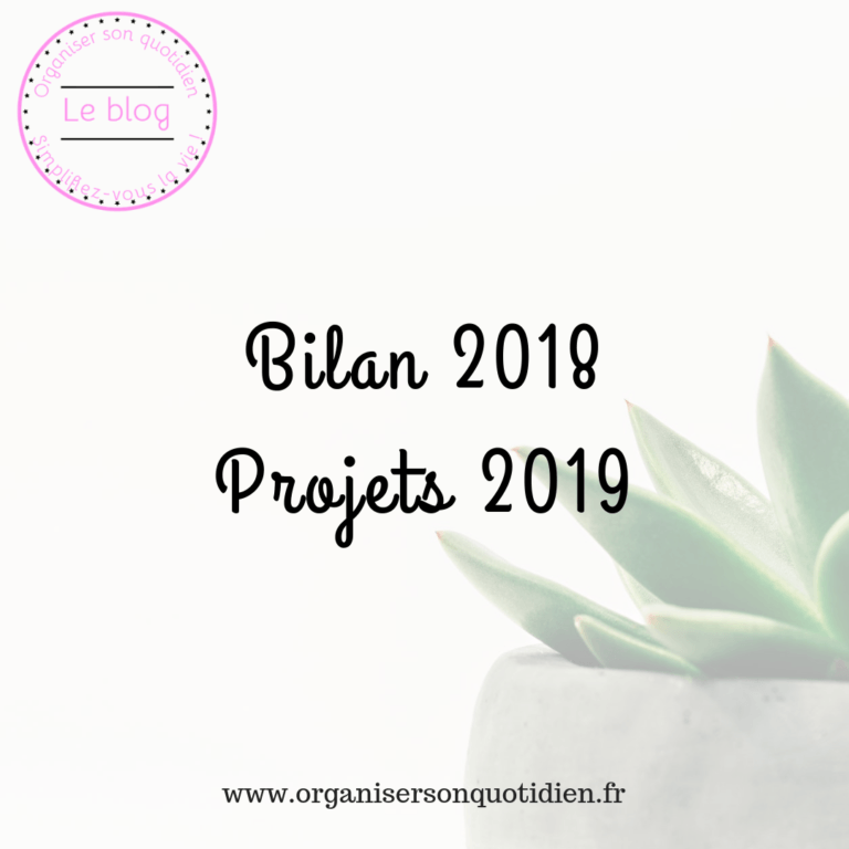 Lire la suite à propos de l’article Bilan 2018 et projets en 2019