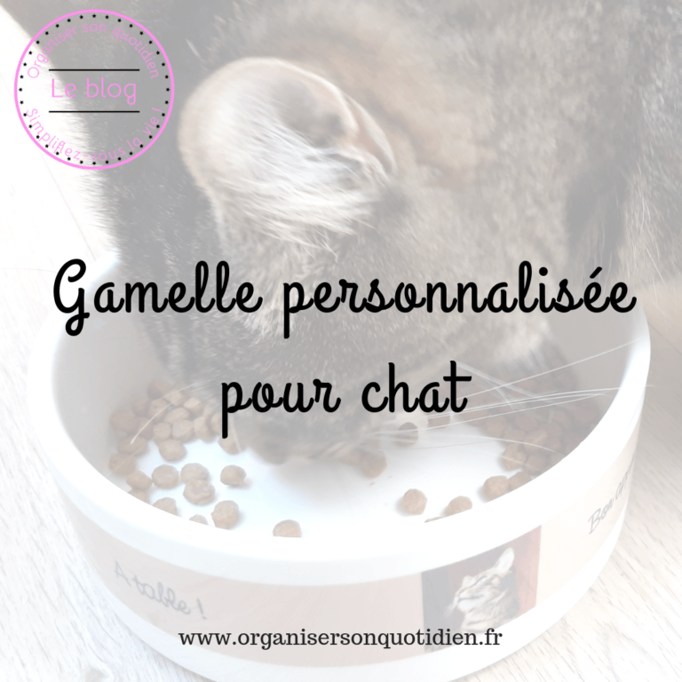 Lire la suite à propos de l’article Une gamelle personnalisée pour mes chats