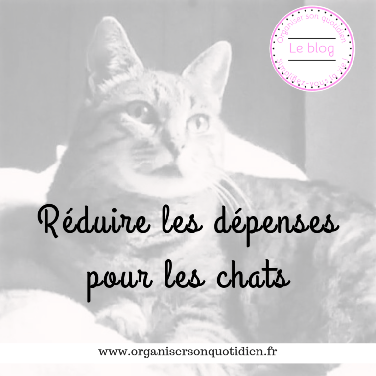 Lire la suite à propos de l’article Réduire les dépenses pour les chats