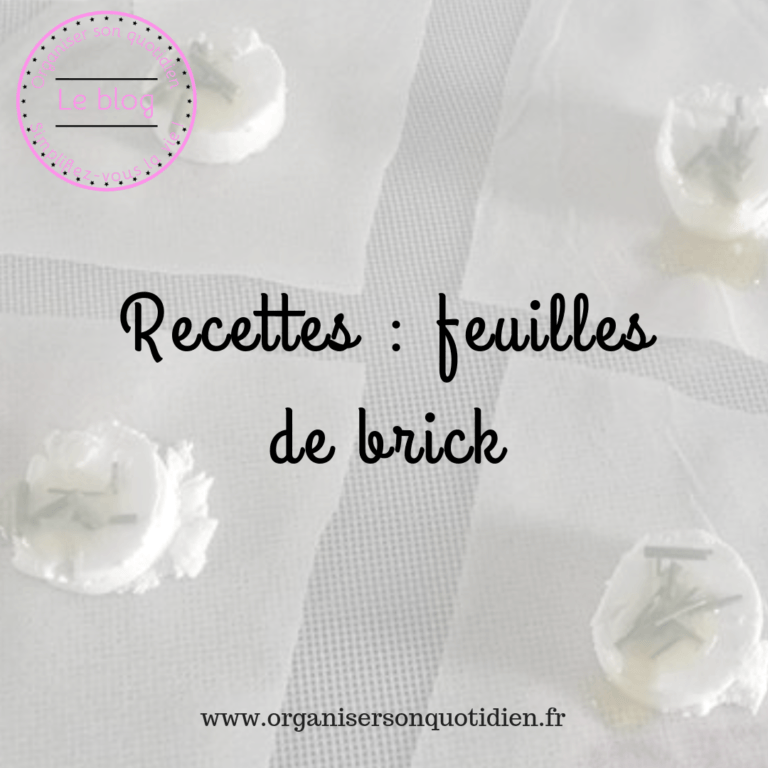 Lire la suite à propos de l’article Recettes rapides avec des feuilles de brick