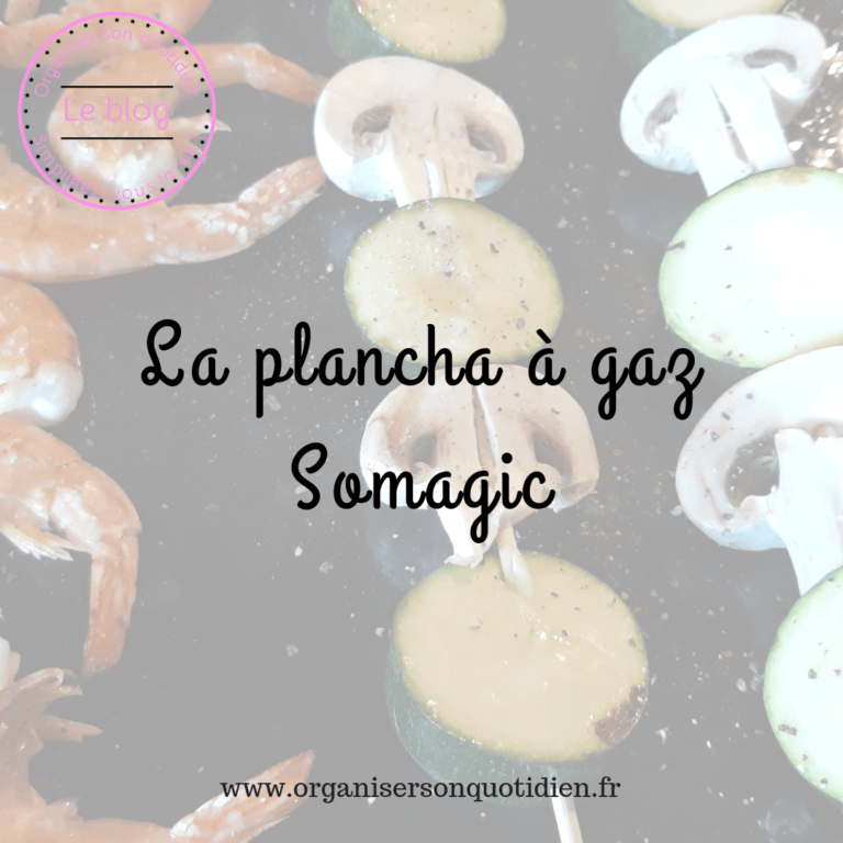 Lire la suite à propos de l’article Retour sur la plancha à gaz Somagic