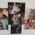 Ma déco murale personnalisée