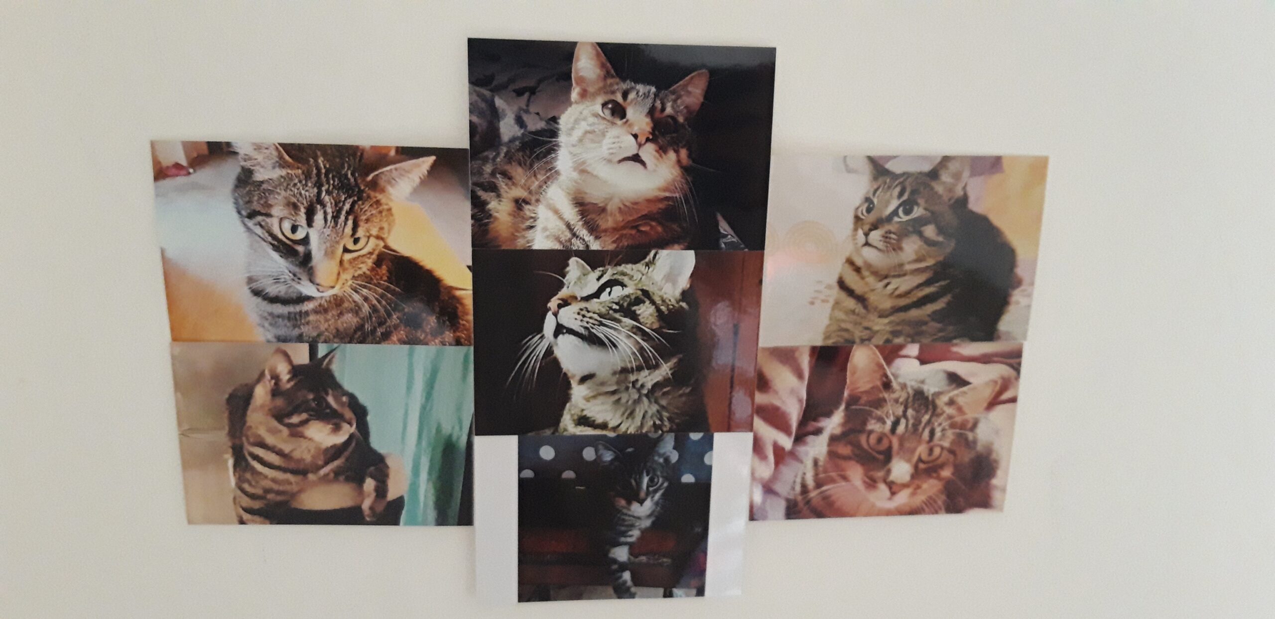 Lire la suite à propos de l’article Ma déco murale personnalisée