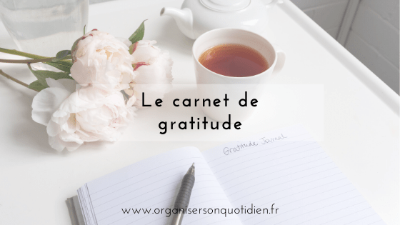 Carnet De Gratitude (broché)