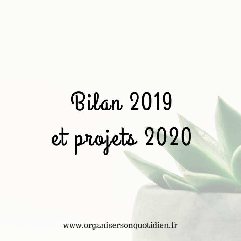 Lire la suite à propos de l’article Bilan 2019 et projets en 2020