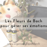 Les Fleurs de Bach pour gérer nos émotions