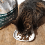 Mon chat a testé Ultra Premium Direct