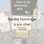 Rendre hommage à son chat