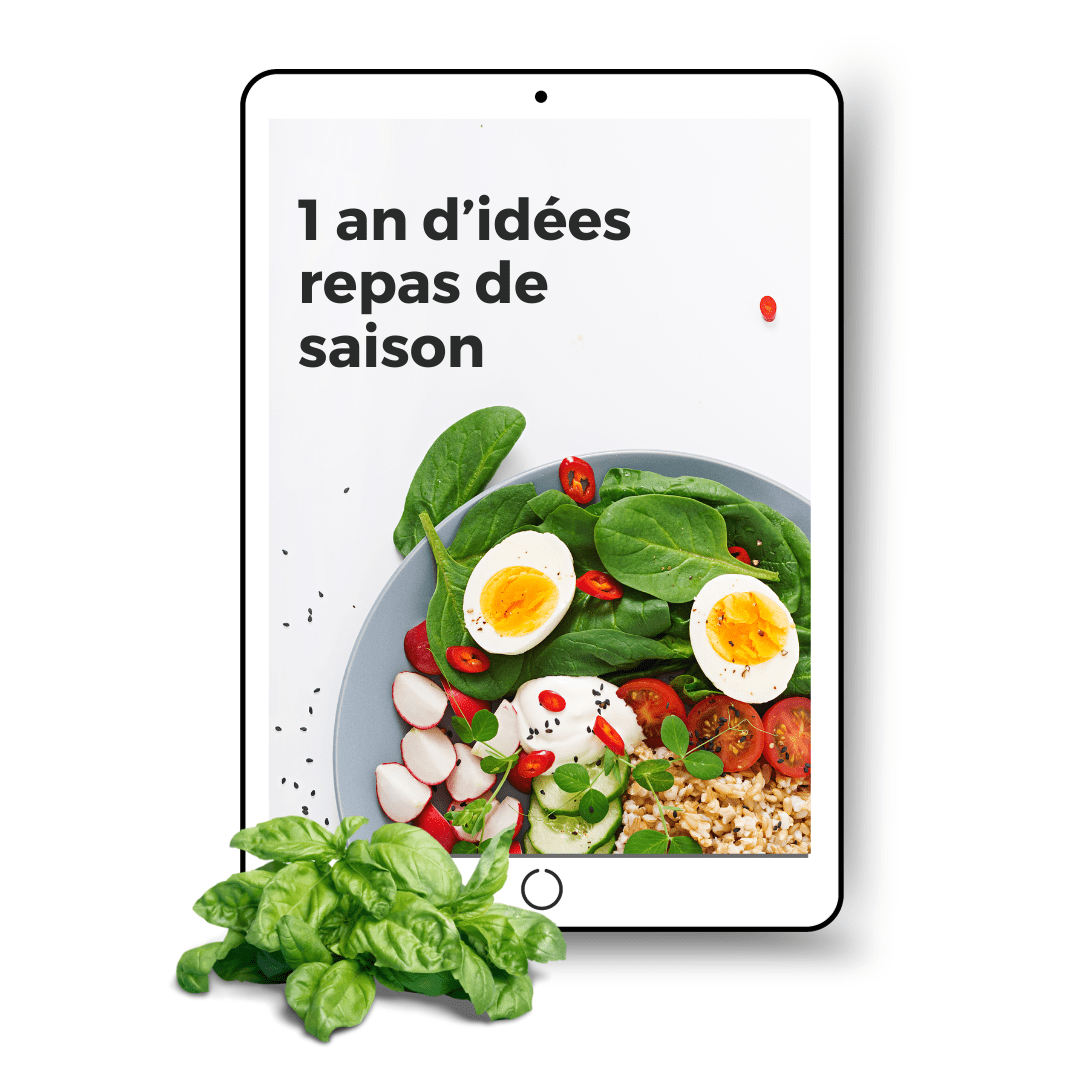 ebook 1 an d'idées repas de saison (1)