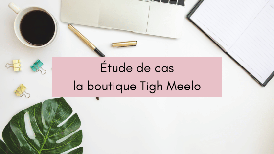 Lire la suite à propos de l’article Étude de cas blog/Pinterest : comment booster la boutique Tigh Meelo