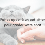 Faites appel à un pet-sitter pour garder votre chat
