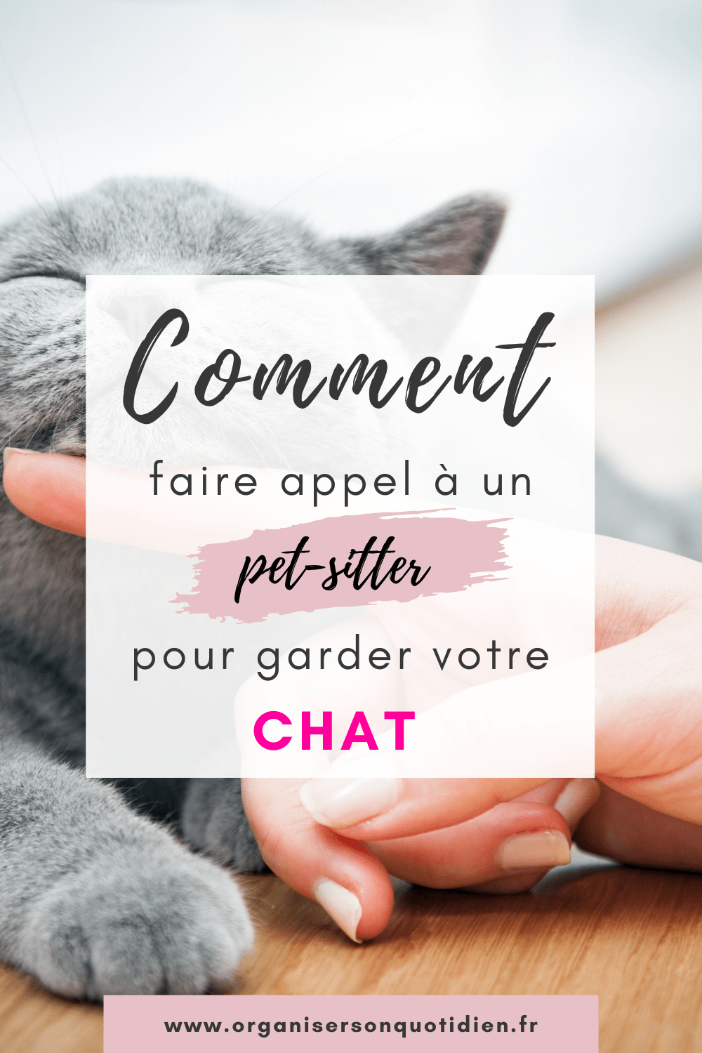 Faites appel à un pet-sitter pour garder votre chat (2)