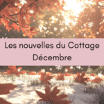 Les nouvelles du Cottage – Décembre