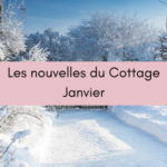 Les nouvelles du Cottage – Janvier 2026