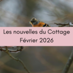 Les nouvelles du Cottage – Février 2026